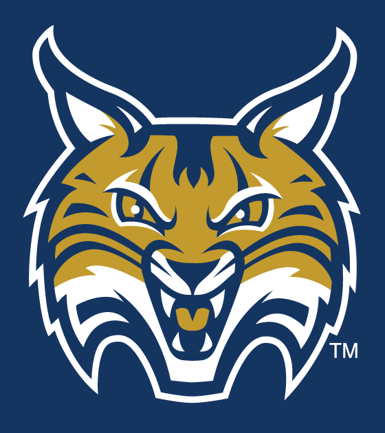 Quinnipiac Bobcats 2002-Pres Secondary Logo v3 diy iron on heat transfer